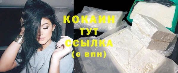 apvp Няндома