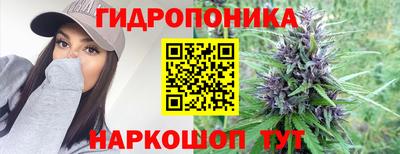 прущие крисы Донской
