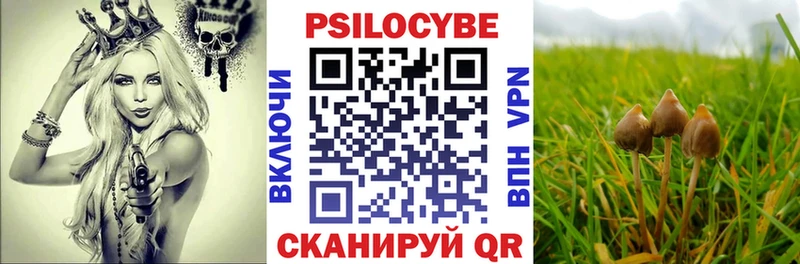 Псилоцибиновые грибы мицелий  даркнет сайт  мега сайт  Шуя 