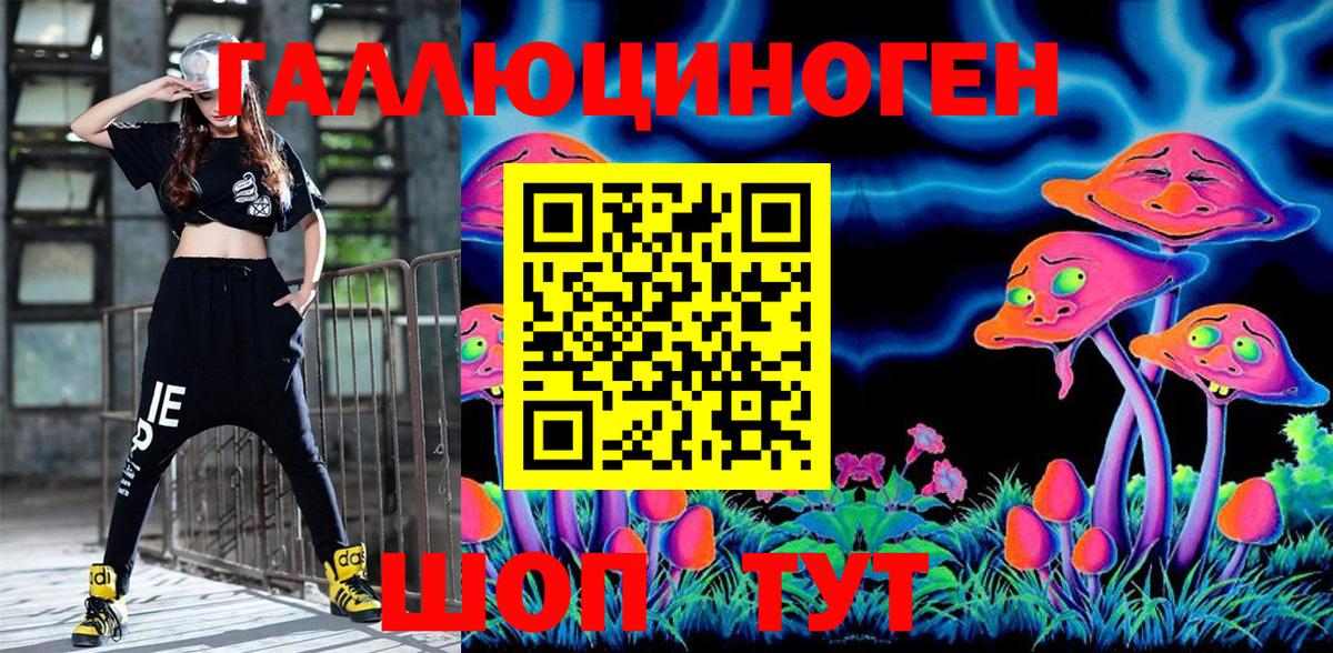 Псилоцибиновые грибы Cubensis  Шуя  Галлюциногенные грибы ЛСД 