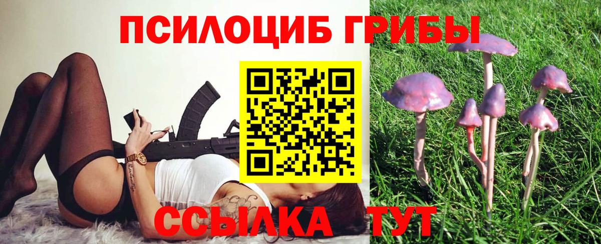 Псилоцибиновые грибы ЛСД  Вход с VPN  купить  цена  Шуя 
