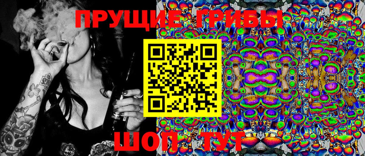 Псилоцибиновые грибы GOLDEN TEACHER Шуя